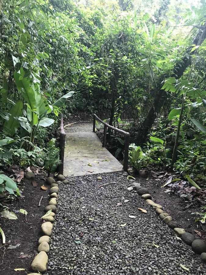 Arenal Roca Suites La Fortuna 外观 照片